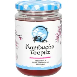 KOMBUCHA TEEPILZ 1 St