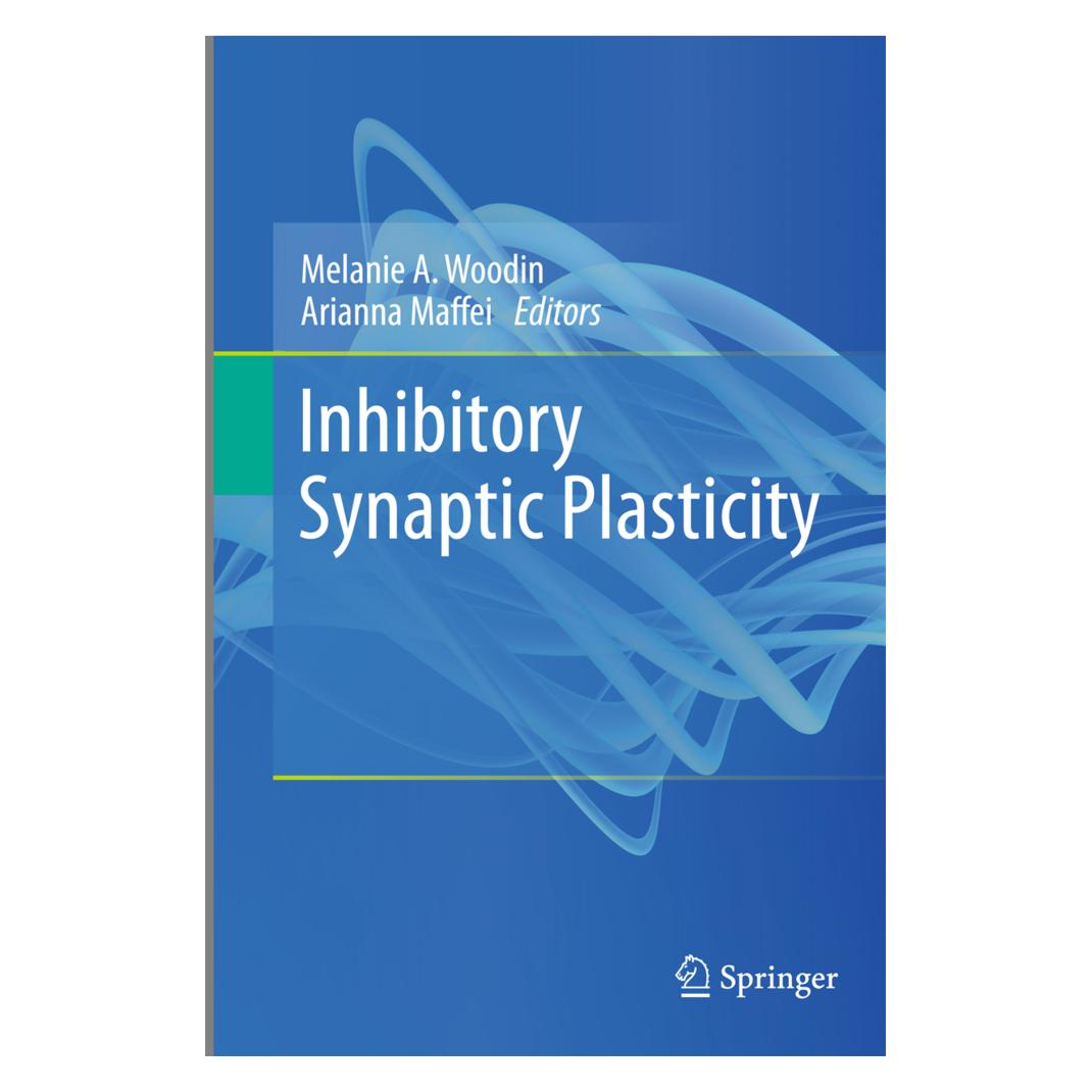 Springer Inhibitory Synaptic Plasticity (Englisch, Softcover, Arianna Maffei, Melanie A. Woodin) (55573684)