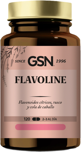 GSN Flavoline 120Comp. 555 Mg.