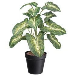 Kunstpflanze Syngonium II in Grün