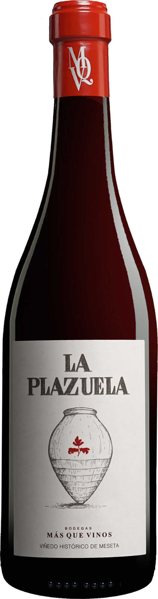 Más que Vinos La Plazuela 2020 14.5% Vol. Rotwein Trocken aus Spanien