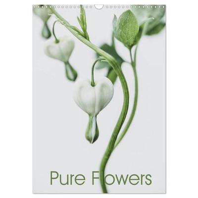 Pure Flowers (Wandkalender 2026 DIN A3 hoch), CALVENDO Monatskalender