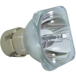 Azurano Beamerlampe für NEC NP29LP Ersatzlampe Projektorlampe, Beamerlampe