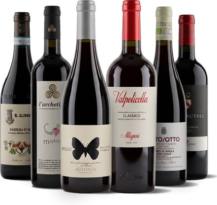 Conoce Italia a través de sus vinos -