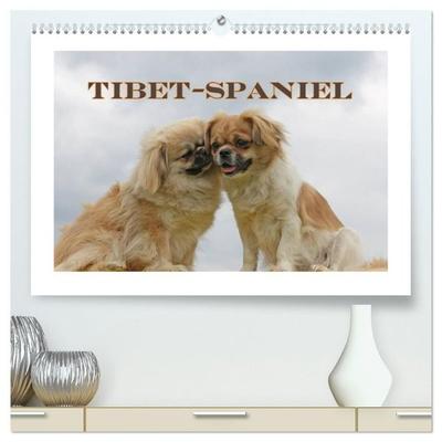 Tibet-Spaniel (hochwertiger Premium Wandkalender 2027 DIN A2 quer), Kunstdruck in Hochglanz