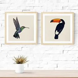 POSTER Set Mit 2 Vogel 20X20cm Schwarzer Rahmen