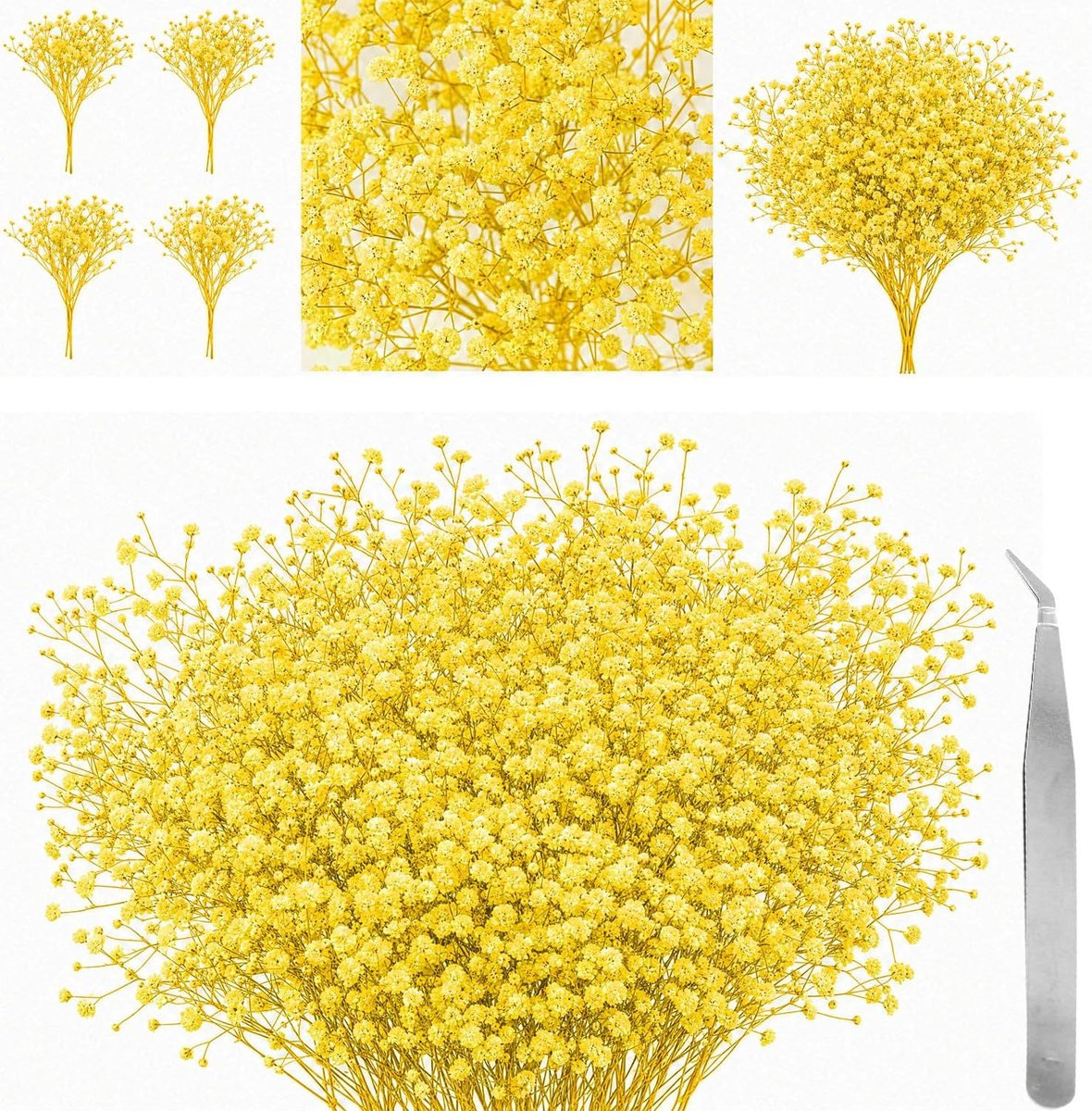 Gedroogde Geperste Gypsophila Bloemen 60 Stuks - Geel - Inclusief Pincet