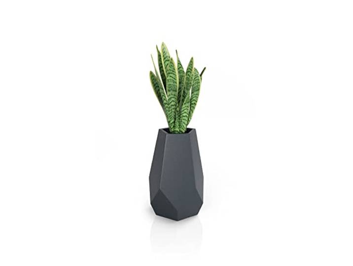 Forvega - Bari-Topf Tiefe 71 cm Lochdurchmesser 32 cm mit Ablage oOriginelles Design Top-Qualität für den Innen- und Außenbereich aus Recycelten Materialien Anthrazit