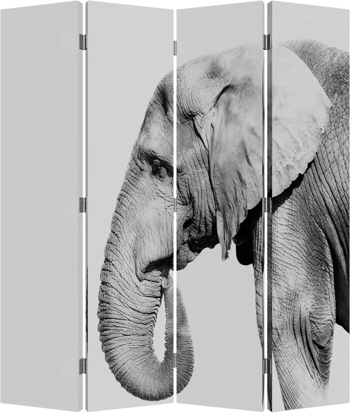 image LAND Safari Wendemotiv