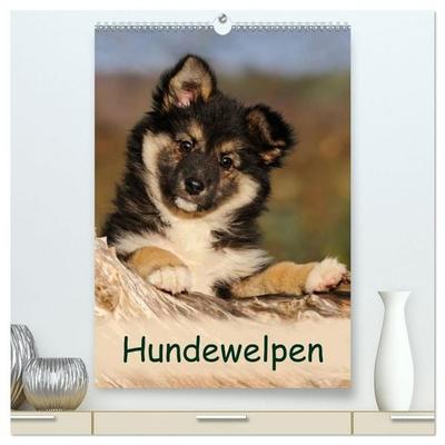Hundewelpen (hochwertiger Premium Wandkalender 2027 DIN A2 hoch), Kunstdruck in Hochglanz
