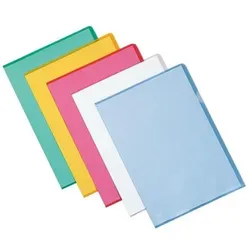 Esselte, Mappe, 395084000 Ordner A4 Polypropylen (PP) (A4)