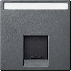 Merten Zentralplatte 1-fach anthrazit MEG4573-0414