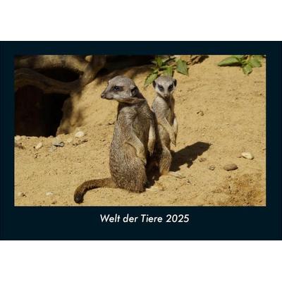 Welt der Tiere 2025 Fotokalender DIN A4