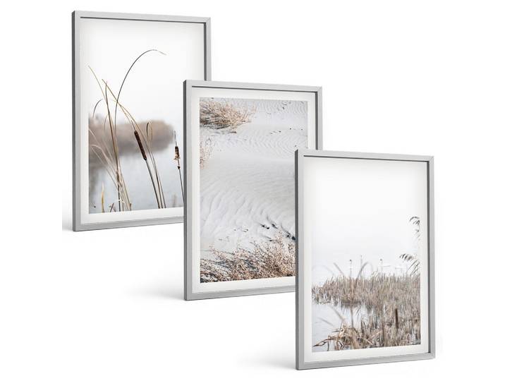 BILDER SET 3er Set - 40x60 cm Silberner Rahmen - Wasserpflanzen im Sommer