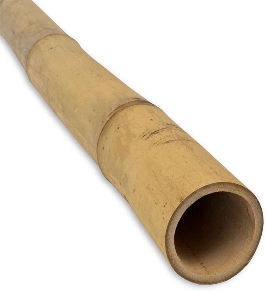 Weitere Pflanzstab Bambus 240 cm Ø 20/22 mm