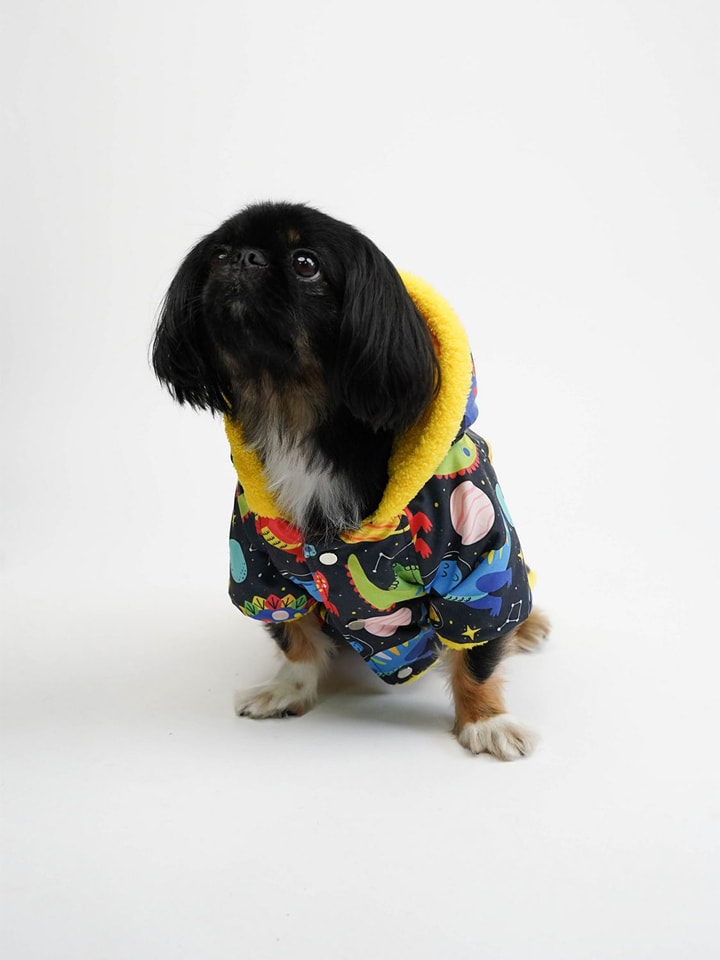 Paws&Whiskers Hundehoodie in Bunt - M