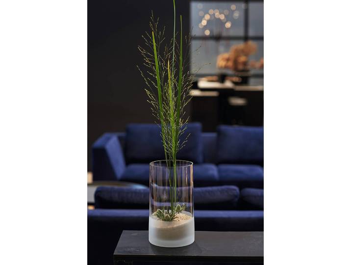 Vase Novara 15 x 26 x 15cm Transparent