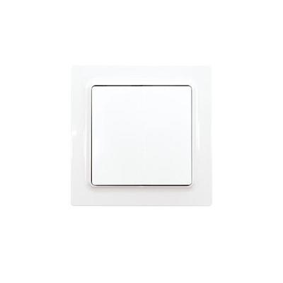 Eltako Funktaster F2T55E-wg 30055715