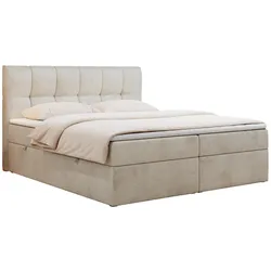 BOXBETT RICO 180/200 Beige Velvet - H3