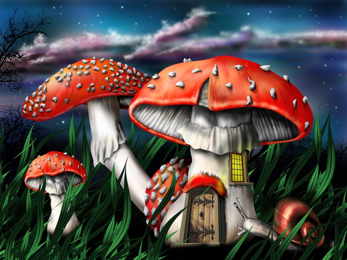 Papermoon "Zauberpilze" bunt B/L: 4m x 2,6m, Bahnen: 8 Stk.