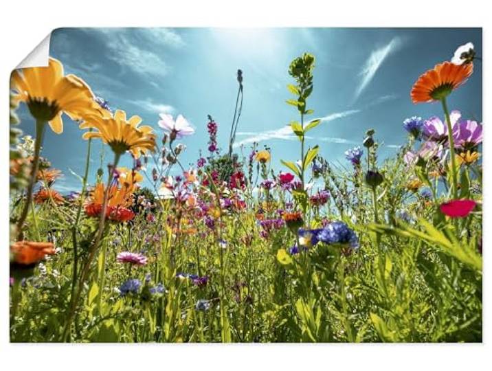 ARTLAND Wanddeko Poster & Kunstdrucke Wandposter 60x40 cm Blumenbilder Blumenwiese Blüten Frühling Blumen Bunt U2KS