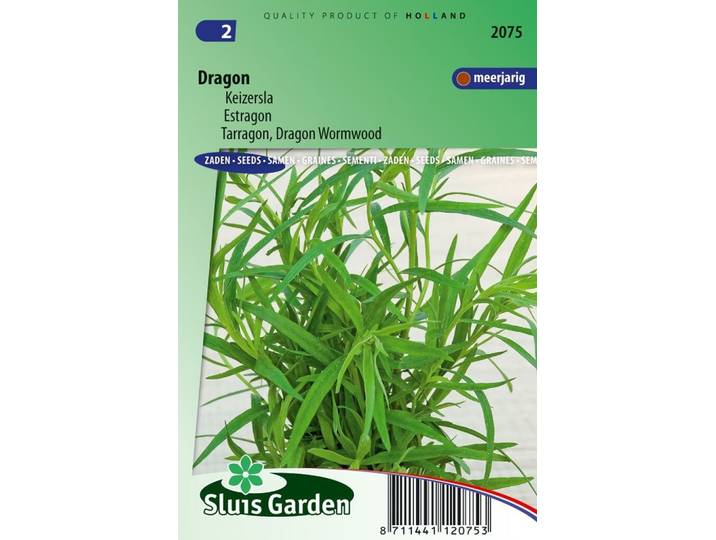 Dragon zaden Artemisia Dracunculus