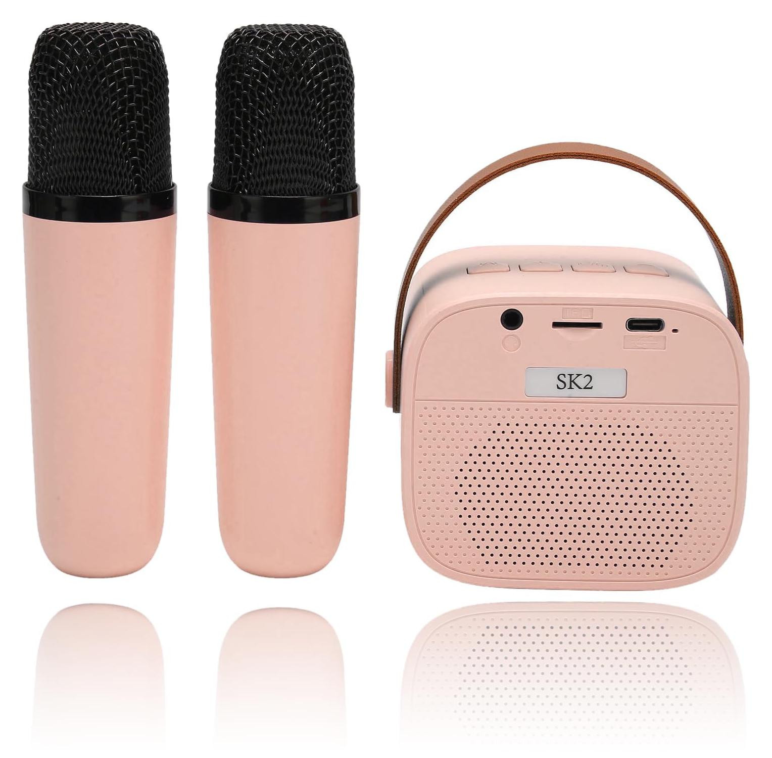 Selius Mini-karaoke-machineset met draagbare Bluetooth-luidspreker en 2 draadloze microfoons
