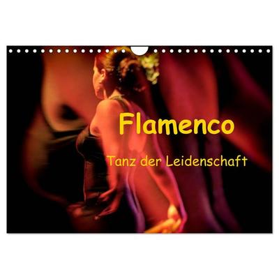Flamenco - Tanz der Leidenschaft (Wandkalender 2026 DIN A4 quer), CALVENDO Monatskalender
