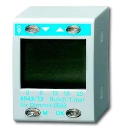 Busch-Timer Bedienelement für Universal-Zentraldimmer 6583
