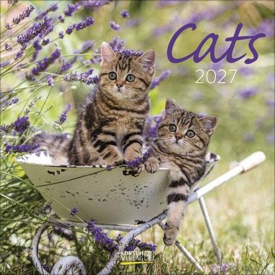 Cats 2027