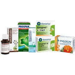 Erkältungsset Pflanzlich 1 Set