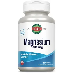MAGNESIUM 500 mg KAL Tabletten 114 g
