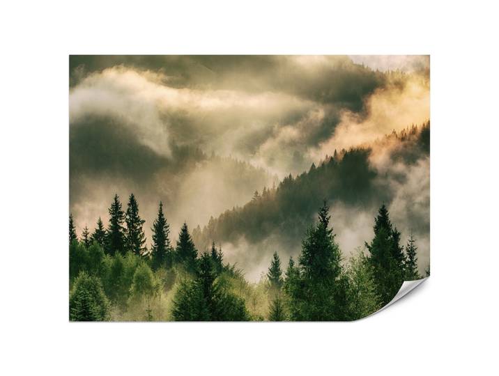 FOTOTAPETE für Wohnzimmer Neblige Landschaft Bergwald Nadelbäume 200x140