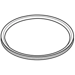 Geberit Dichtung zu Pluvia-Einsatzring 387023001