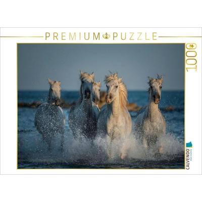 CALVENDO Puzzle Camarguepferde - Stuten im Meer | 1000 Teile Lege-Größe 64x48cm Foto-Puzzle für glückliche Stunden