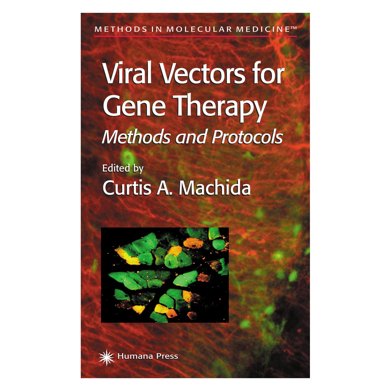 Springer Viral Vectors for Gene Therapy (Englisch, Softcover, A Machida Curtis, Curtis A. Machida) (55382669)