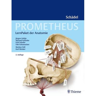 PROMETHEUS LernPaket Anatomie Schädel, Sonstige von Jürgen Lüthje,Michael Schünke,Erik Schulte,Udo Schumacher, Thieme, 978-3-13-240300-0