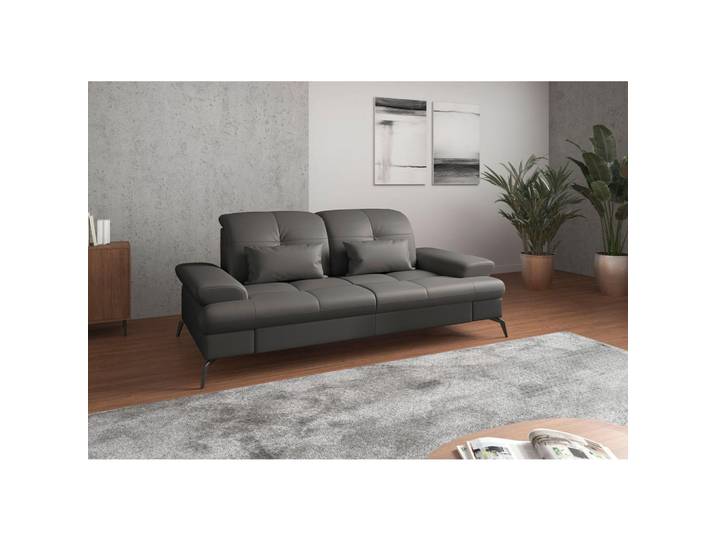 Sit & More 2,5-Sitzer, Anthrazit, Metall, Kombination Echtleder/Stoff, Nappaleder, 202x90x122 cm, Goldenes M, Made in Europe, DGM-Klimapakt, Armteil links, rechts, Wohnzimmer, Sofas & Couches, Sofas, 2-Sitzer Sofas