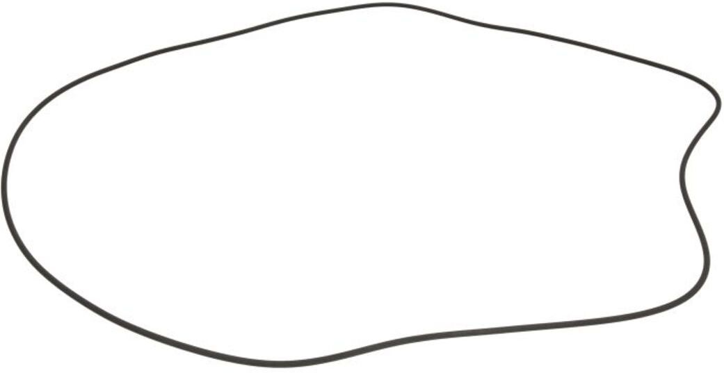Getriebe O-Ring ZF 0501325573ZF