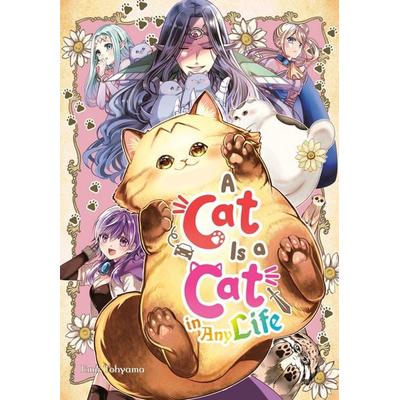 A Cat Is a Cat in Any Life, Taschenbuch von Ema Tohyama, Penguin LLC US, 978-1-64609-471-4
