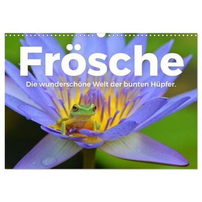 Frösche - Die wunderschöne Welt der bunten Hüpfer. (Wandkalender 2026 DIN A3 quer), CALVENDO Monatskalender