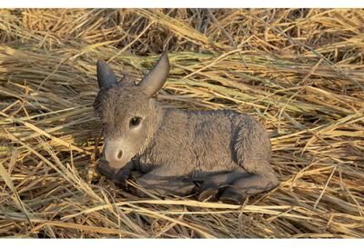 Hi-Line Gift DONKEY FOAL LYING DOWN - MEDIUM