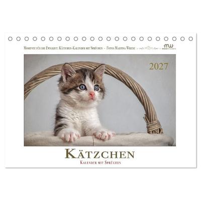 Kätzchen-Kalender mit Sprüchen (Tischkalender 2027 DIN A5 quer), CALVENDO Monatskalender