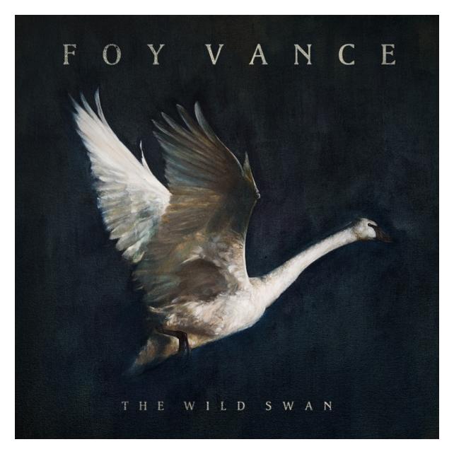 Warner Bros. The Wild Swan (Vance Joy) (45206016)