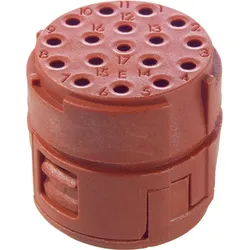 Lapp Zubehör EPIC SIGNAL M23 17E B 44420131