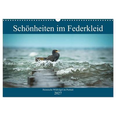 Schönheiten im Federkleid - Heimische Wildvögel im Portrait (Wandkalender 2027 DIN A3 quer), CALVENDO Monatskalender