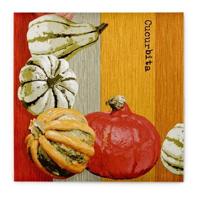 Sovie HORECA Serviette Britta in terrakotta aus Linclass® Airlaid 40 x 40 cm, 50 Stück - Struktur Kürbis Herbst