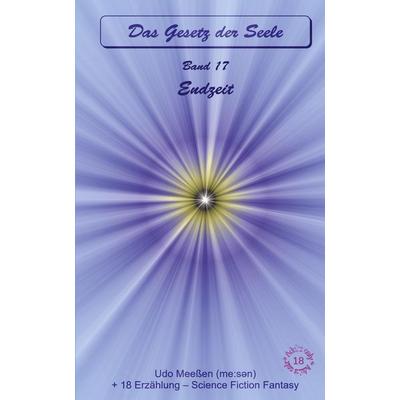Endzeit, Taschenbuch von Udo Meessen, Tredition, 978-3-384-79132-0