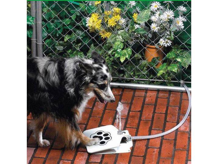 Animal de compagnie chien chat patte eau potable fondon bouteille formation chien mangeoire approvisionnement en eau bol d'eau pour chiens gratuit distributeur d'eau potable