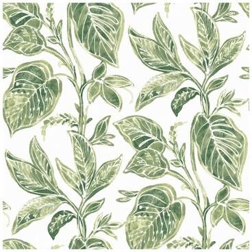 Chesapeake Mangrove Green Botanical Wallpaper - 20.5 x 396 x 0.025